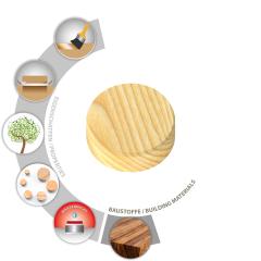 TOX Cookie Wood 15mm (100 Stk.) | 100 Stück